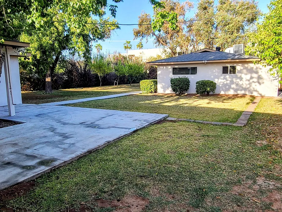 Backyard