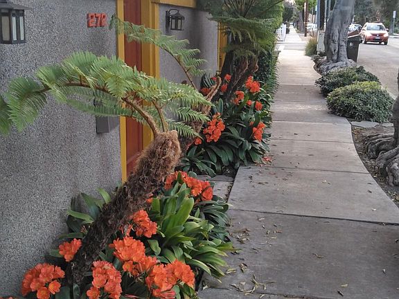 3rd Street sidewalk