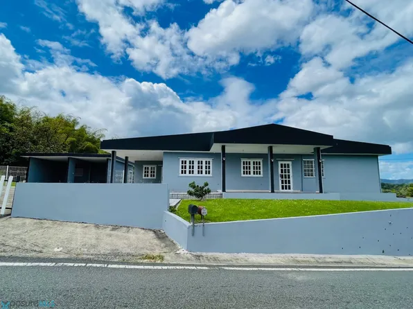 605 Bo Vivi Arriba, Utuado, PR 00641