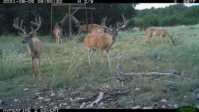 1st image of County Road 146