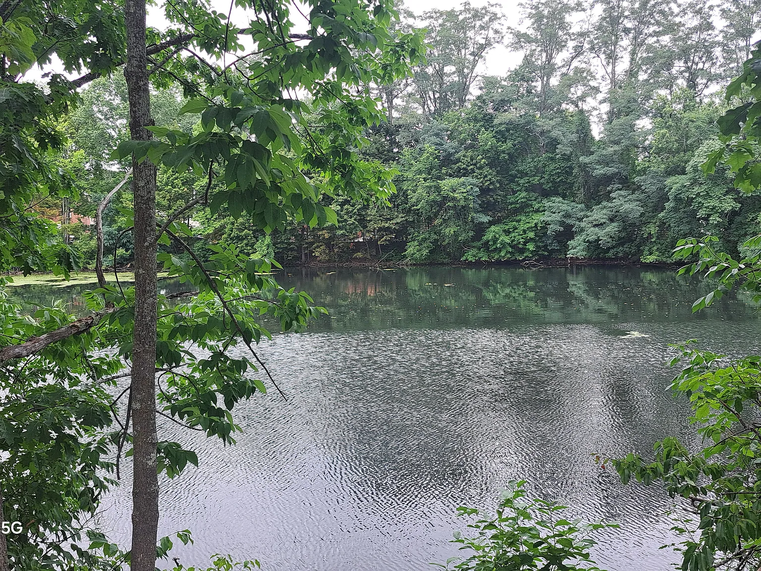 1 bed, 1000 sqft, $1,500 — Photo 4