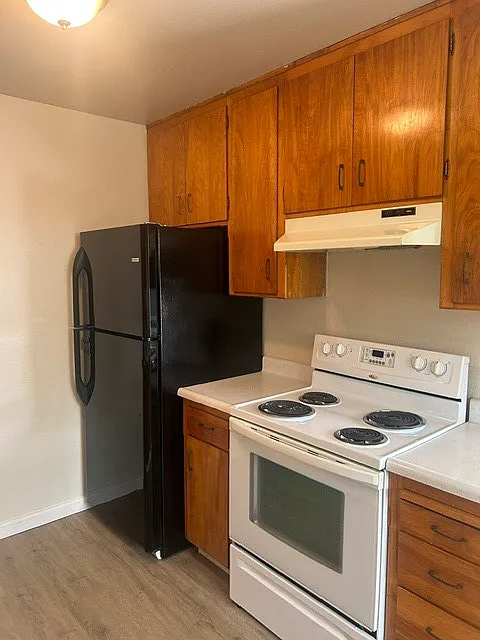 145 Camellia Way — Photo 3