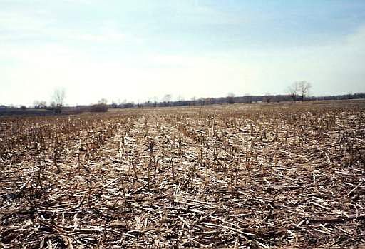 1st image of 31W255 W Roosevelt Rd