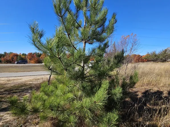 LOT 5 Short Ct, Gaylord, MI 49735