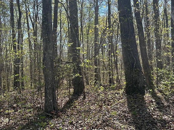 3rd image of LOT 9 Jones Ridge Rd