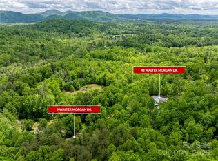 48 Walter Morgan Dr, Asheville, NC 28803
