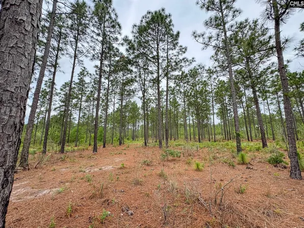 0 Neely Wingard Rd Lot 10, Gilbert, SC 29054