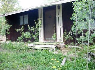 668 Alice Rd, Idaho Springs, CO 80452