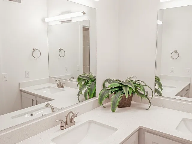 Fleur De Lis Apartments — Photo 12