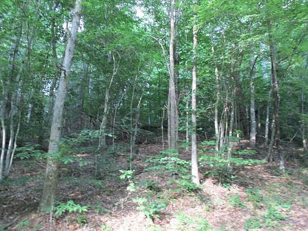 2nd image of 17 Deer Trot Ln
