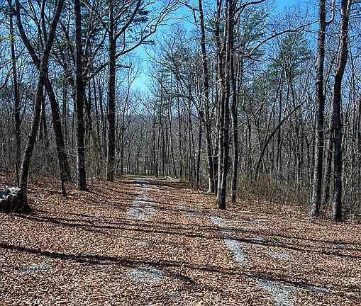 5th image of 9045 Highway 157