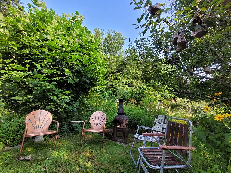 Backyard in Spring