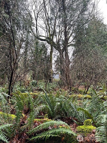 3rd image of 25 Roosevelt Road