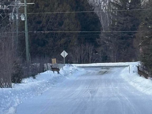 3rd image of S Flower Bay Rd