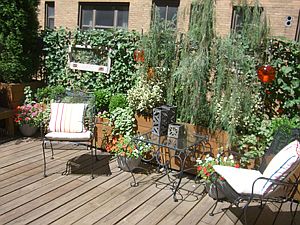 1st image of 258 W 93rd St APT 5A