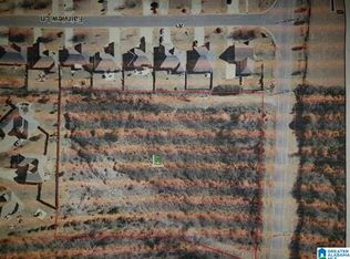 Highway 204 Tract #914, Montevallo, AL 35115