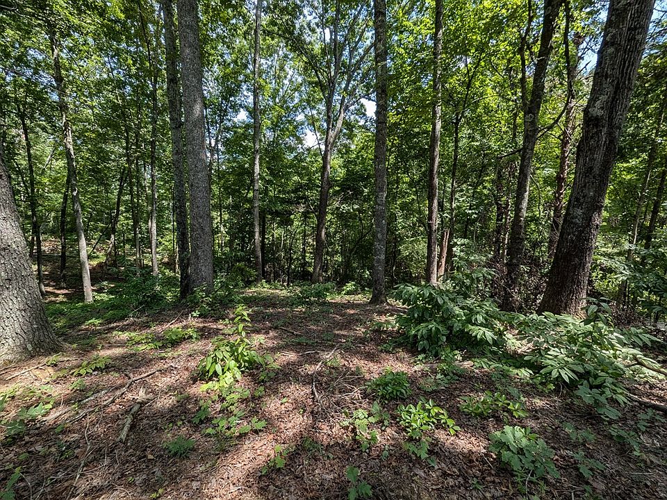 2nd image of 1 White Oak Cir