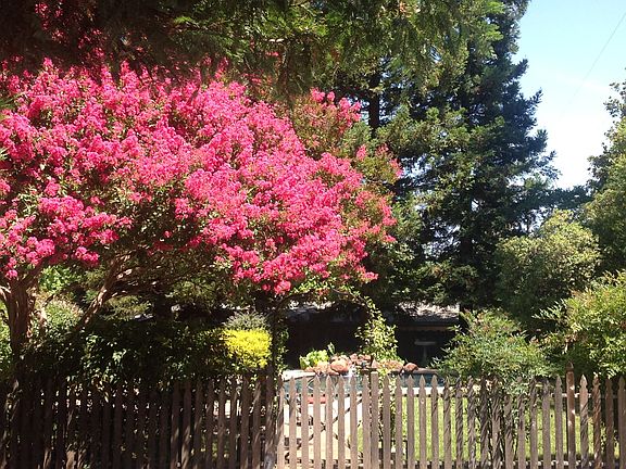 4th image of 8509 Pearl Way