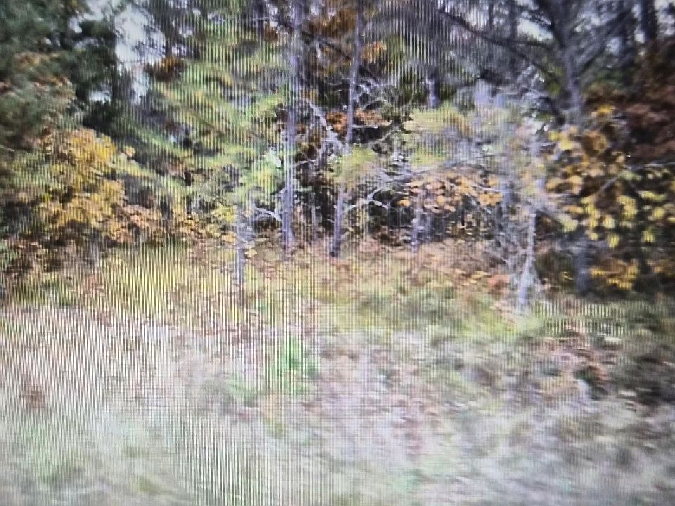 1st image of 32 Northwood Dr
