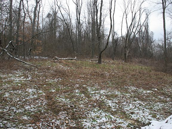 5th image of Wallace Run Road