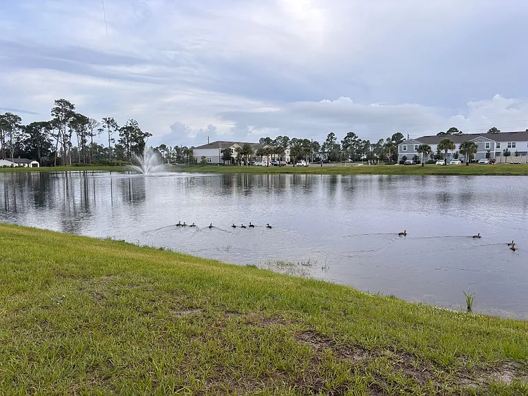 284 Palmetto Ridge Rd — Photo 28