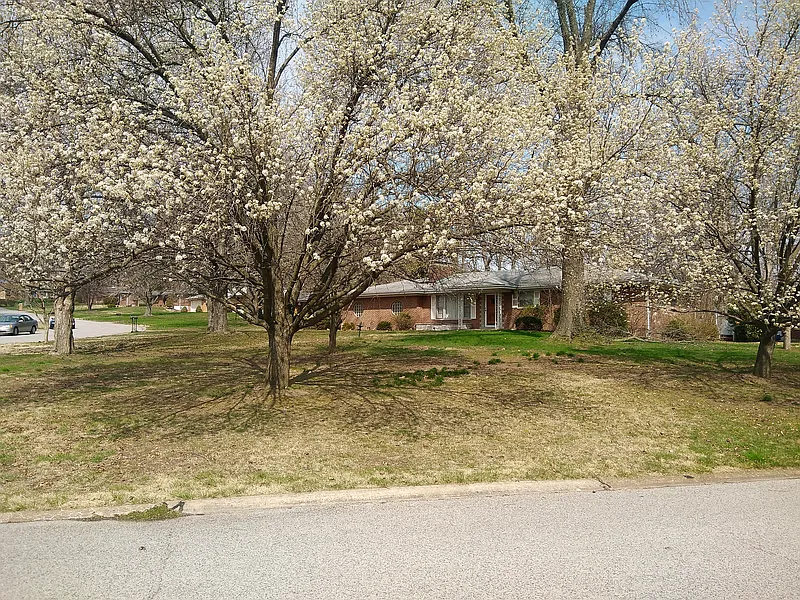 Thumbnail 17