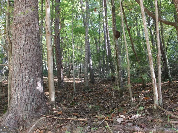 LOT 546 Satsuma Ct, Ellijay, GA 30540