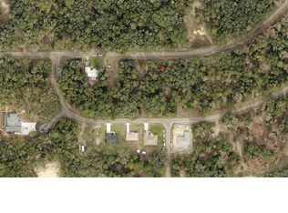 0 Fisher Lane Ct #10, Ocklawaha, FL 32179