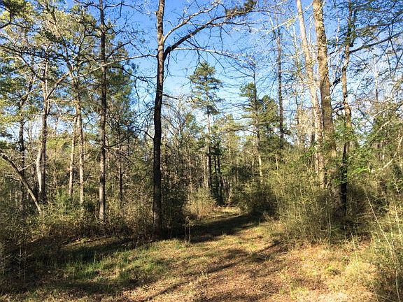 2nd image of 285 Private Road 5973