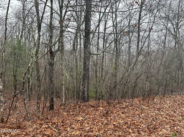 0 Woodland Trl Lot 21B, Sunbright, TN 37872