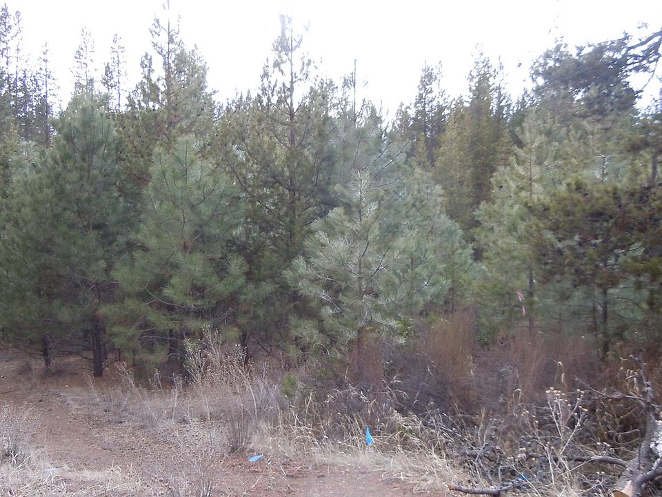 2nd image of 137908 Manzanita St