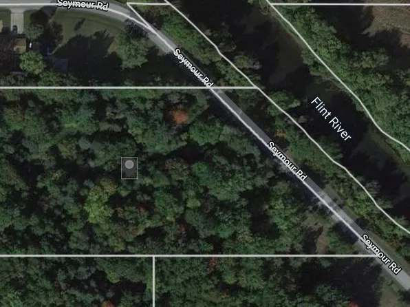 11010 Seymour Rd, Burt, MI 48417