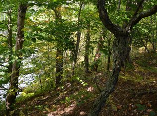 13 Mile Rd, Bear lake, MI 49614