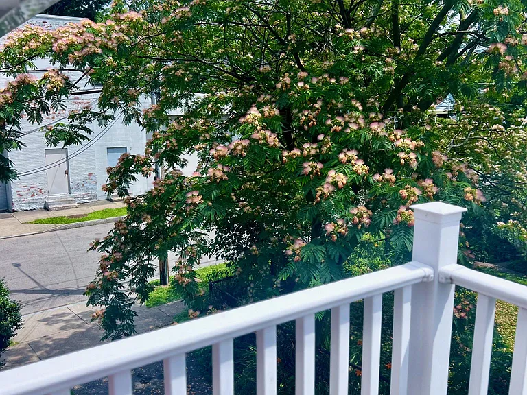 44 Beacon St — Photo 35