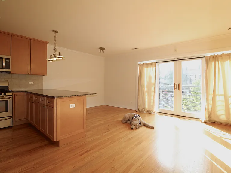 917 N Ashland Ave #2 — Photo 2