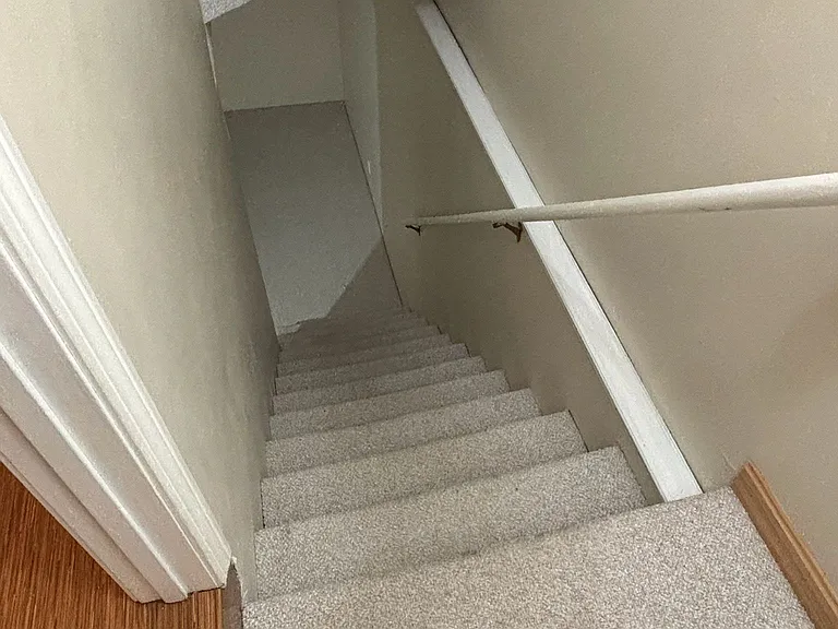 Basement Steps