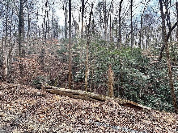 4th image of L53 Amy Creek Cir #53