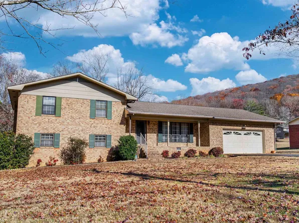 401 38th St NE, Fort Payne, AL 35967