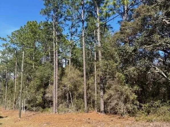 Tba Southwest Ct #207, Dunnellon, FL 34431