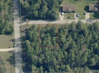 3005 Clearwood St, Inverness, FL 34452