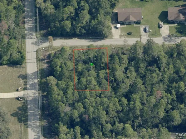 3005 Clearwood St, Inverness, FL 34452