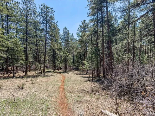 8173 Bannock Drive, Larkspur, CO 80118