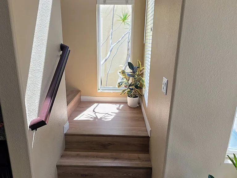 7373 Healis Pl — Photo 9