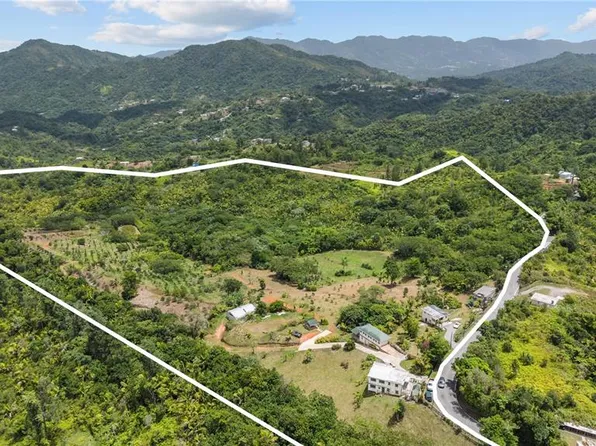 Carretera 143 KM 5.7, UTUADO, PR 00641