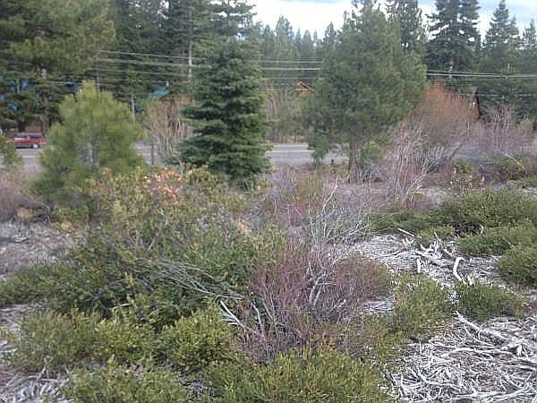 1st image of 14593 Northwoods Blvd