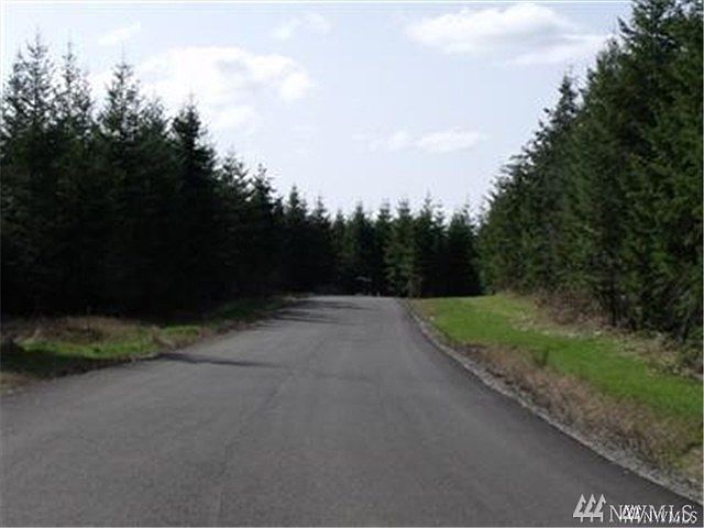 2nd image of 0 N Fork (glacier Peak Ln.) Rd