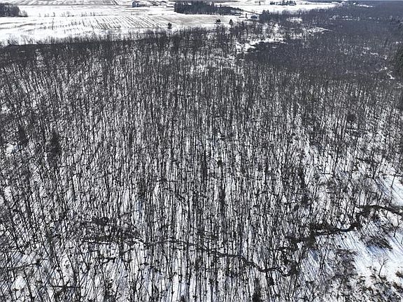 2nd image of XX County Road O