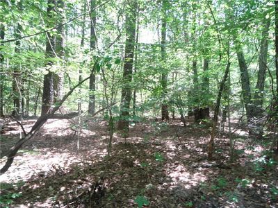 502AC Fire Tower Rd, Zuni, VA, 23898