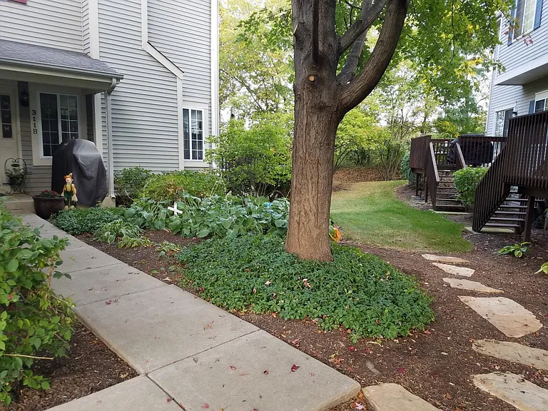 311 Windsor Ct #B — Photo 13