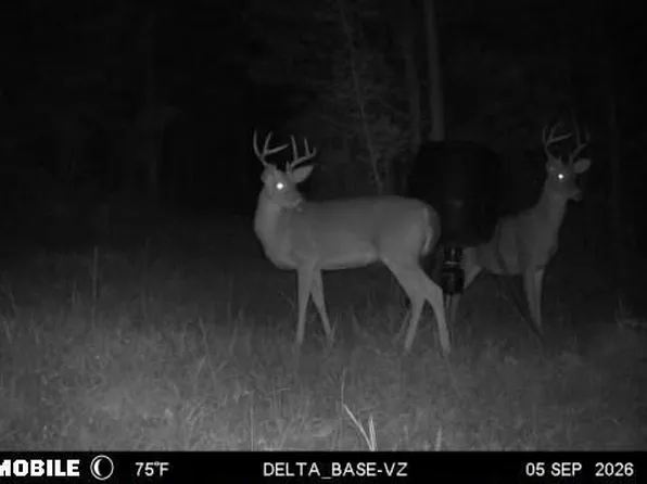 Jordon Rd, Waverly Hall, GA 31831